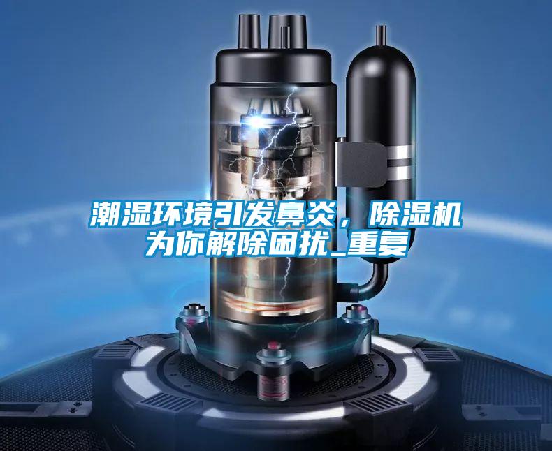 潮濕環(huán)境引發(fā)鼻炎，除濕機(jī)為你解除困擾_重復(fù)