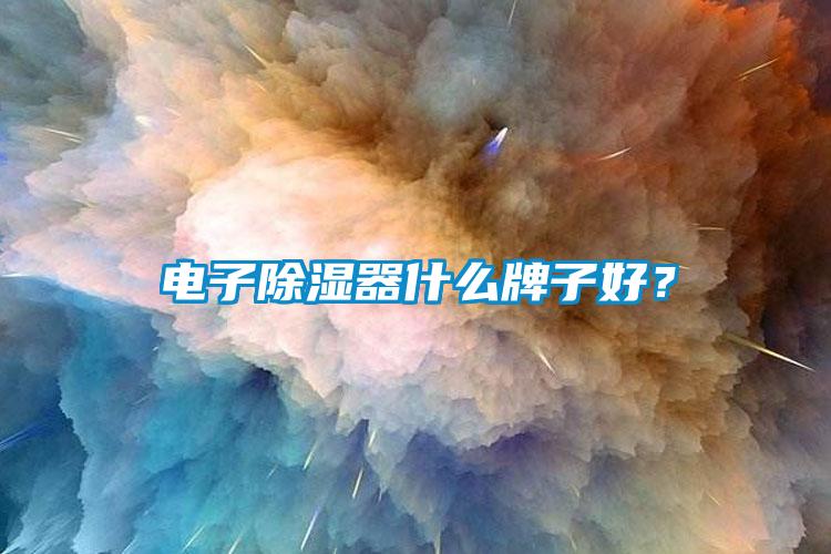 電子除濕器什么牌子好？