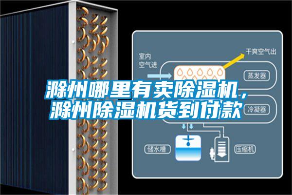 滁州哪里有賣除濕機(jī)，滁州除濕機(jī)貨到付款