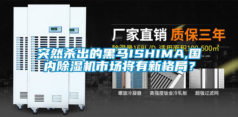 突然殺出的黑馬ISHIMA,國內除濕機市場將有新格局？