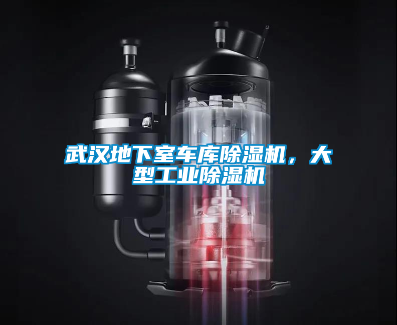 武漢地下室車庫除濕機，大型工業(yè)除濕機