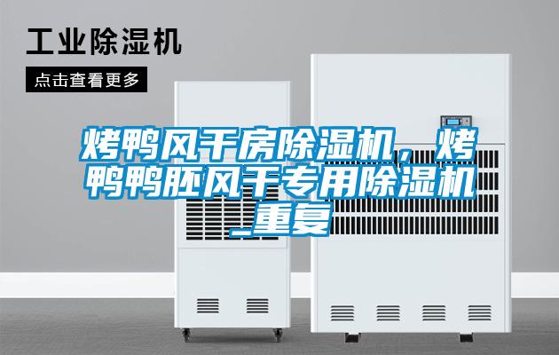 烤鴨風(fēng)干房除濕機，烤鴨鴨胚風(fēng)干專用除濕機_重復(fù)