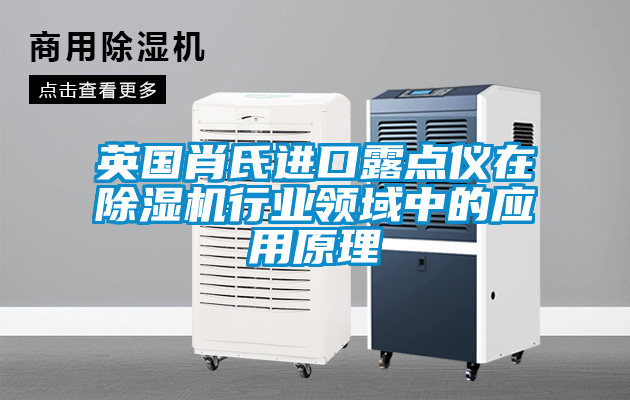 英國肖氏進口露點儀在除濕機行業(yè)領(lǐng)域中的應用原理