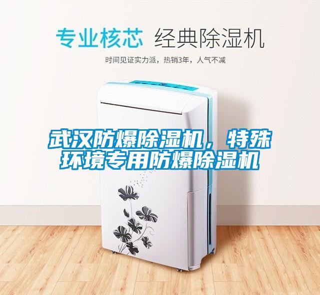 武漢防爆除濕機(jī)，特殊環(huán)境專用防爆除濕機(jī)