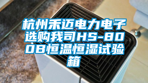杭州禾邁電力電子選購(gòu)我司HS-800B恒溫恒濕試驗(yàn)箱