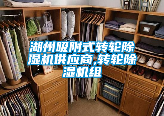 湖州吸附式轉(zhuǎn)輪除濕機供應(yīng)商,轉(zhuǎn)輪除濕機組