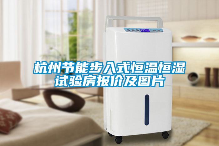 杭州節(jié)能步入式恒溫恒濕試驗(yàn)房報(bào)價(jià)及圖片