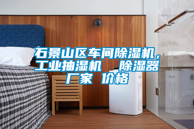 石景山區(qū)車間除濕機(jī)，工業(yè)抽濕機(jī)  除濕器廠家 價格