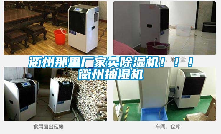 衢州那里廠家賣除濕機(jī)！?。♂橹莩闈駲C(jī)