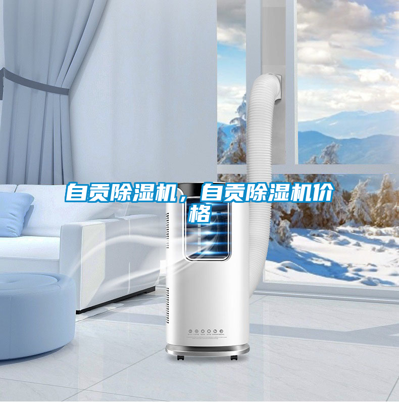 自貢除濕機(jī)，自貢除濕機(jī)價(jià)格