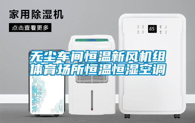 無塵車間恒溫新風(fēng)機(jī)組體育場所恒溫恒濕空調(diào)