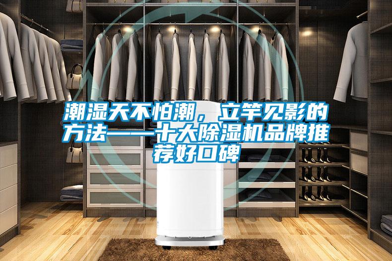 潮濕天不怕潮，立竿見影的方法——十大除濕機(jī)品牌推薦好口碑