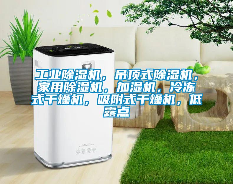 工業(yè)除濕機，吊頂式除濕機，家用除濕機，加濕機，冷凍式干燥機，吸附式干燥機，低露點