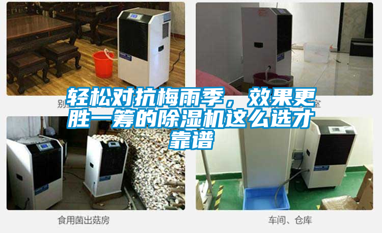 輕松對(duì)抗梅雨季，效果更勝一籌的除濕機(jī)這么選才靠譜