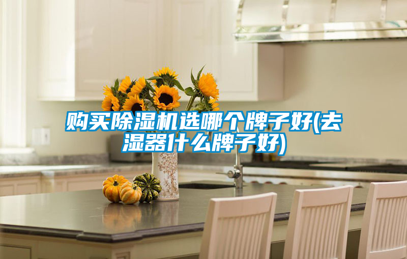 購買除濕機(jī)選哪個牌子好(去濕器什么牌子好)