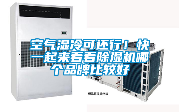 空氣濕冷可還行！快一起來看看除濕機哪個品牌比較好