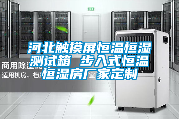 河北觸摸屏恒溫恒濕測試箱 步入式恒溫恒濕房廠家定制