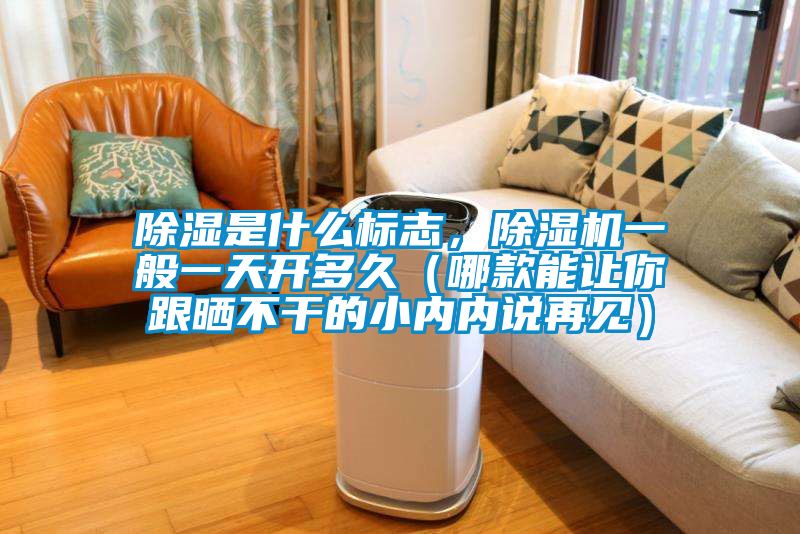 除濕是什么標志，除濕機一般一天開多久（哪款能讓你跟曬不干的小內(nèi)內(nèi)說再見）
