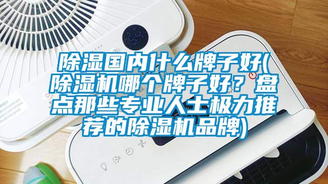 除濕國內(nèi)什么牌子好(除濕機(jī)哪個(gè)牌子好？盤點(diǎn)那些專業(yè)人士極力推薦的除濕機(jī)品牌)