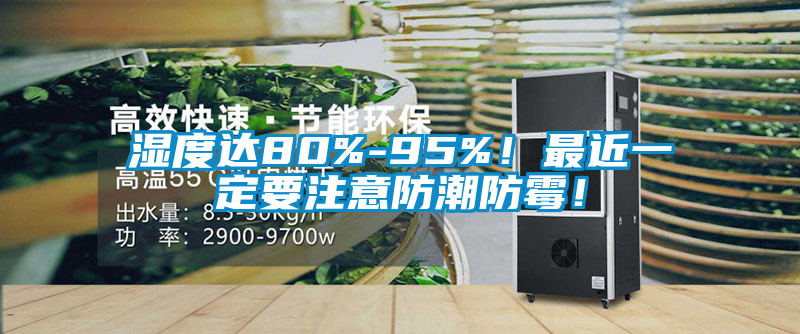 濕度達(dá)80%-95%！最近一定要注意防潮防霉！