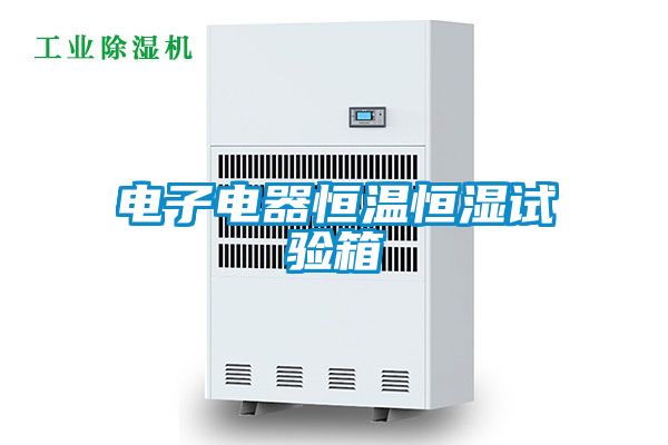 電子電器恒溫恒濕試驗(yàn)箱