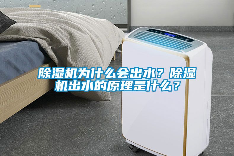 除濕機(jī)為什么會(huì)出水？除濕機(jī)出水的原理是什么？