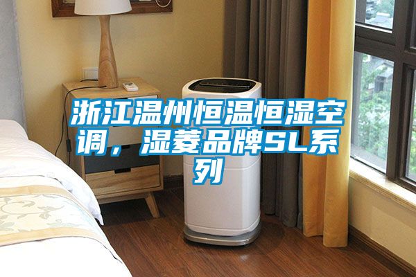 浙江溫州恒溫恒濕空調(diào)，濕菱品牌SL系列