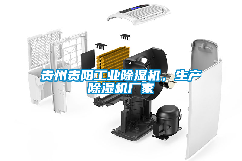 貴州貴陽工業(yè)除濕機，生產(chǎn)除濕機廠家
