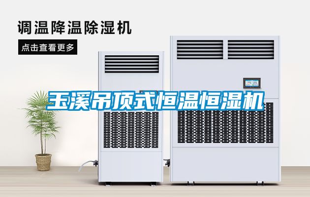 玉溪吊頂式恒溫恒濕機