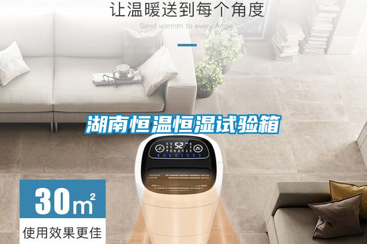 湖南恒溫恒濕試驗箱