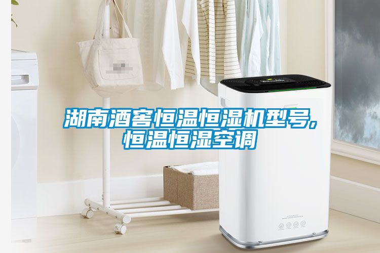 湖南酒窖恒溫恒濕機(jī)型號(hào),恒溫恒濕空調(diào)