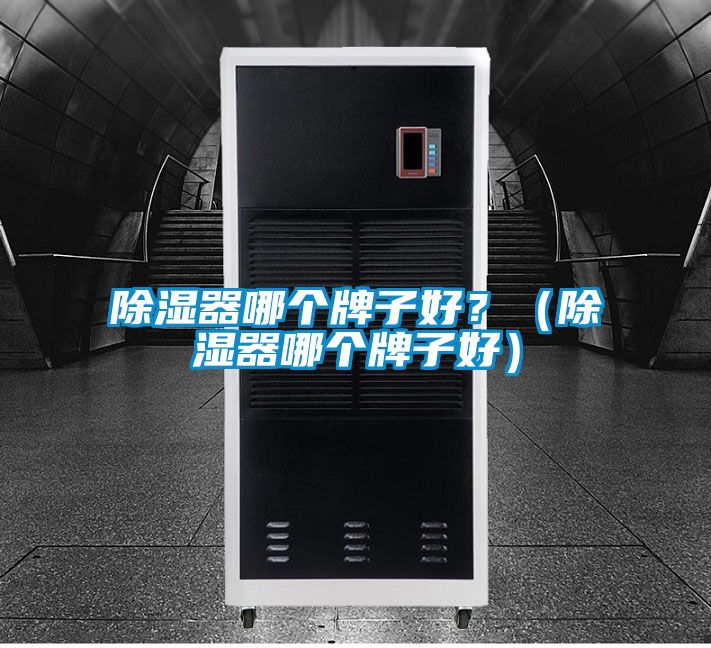 除濕器哪個牌子好？（除濕器哪個牌子好）