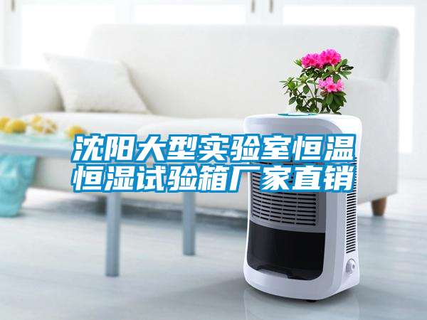 沈陽(yáng)大型實(shí)驗(yàn)室恒溫恒濕試驗(yàn)箱廠家直銷(xiāo)