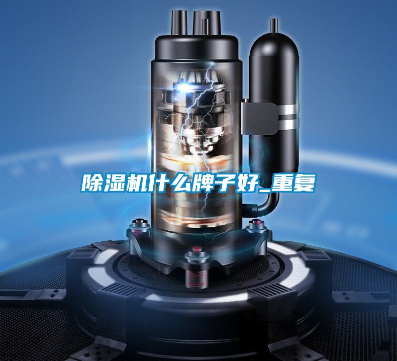 除濕機什么牌子好_重復(fù)