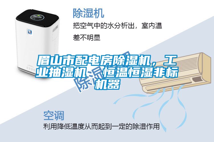 眉山市配電房除濕機(jī)，工業(yè)抽濕機(jī)  恒溫恒濕非標(biāo)機(jī)器