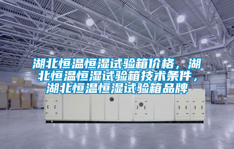湖北恒溫恒濕試驗箱價格，湖北恒溫恒濕試驗箱技術條件，湖北恒溫恒濕試驗箱品牌