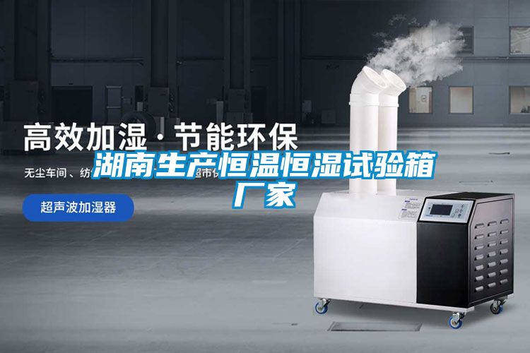 湖南生產(chǎn)恒溫恒濕試驗(yàn)箱廠家