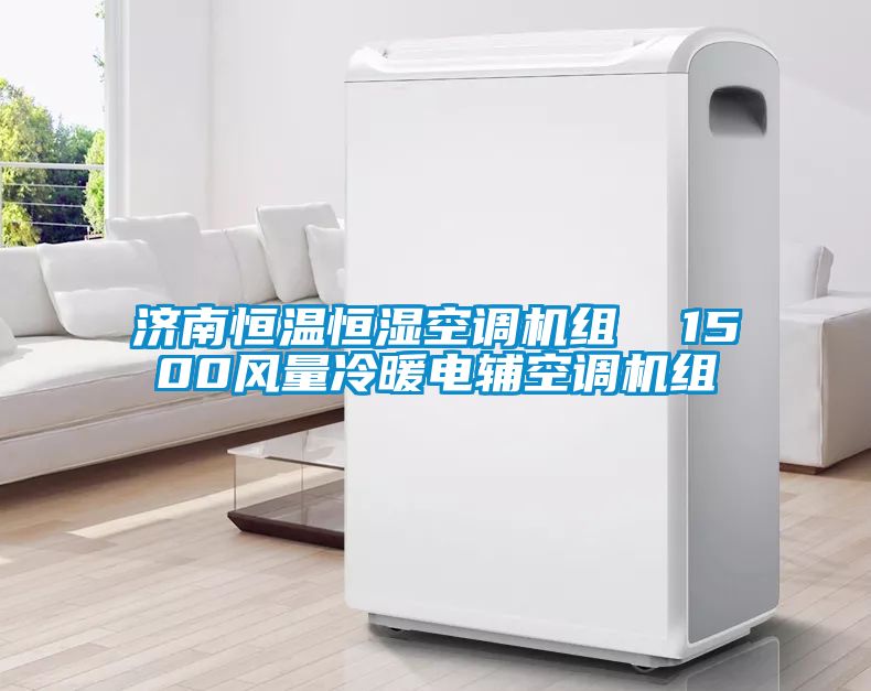 濟南恒溫恒濕空調(diào)機組  1500風量冷暖電輔空調(diào)機組