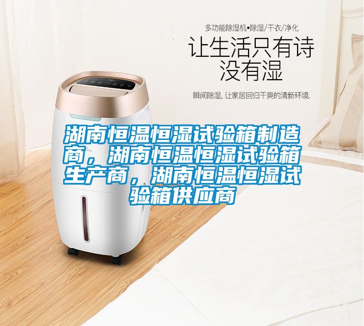 湖南恒溫恒濕試驗箱制造商，湖南恒溫恒濕試驗箱生產(chǎn)商，湖南恒溫恒濕試驗箱供應(yīng)商