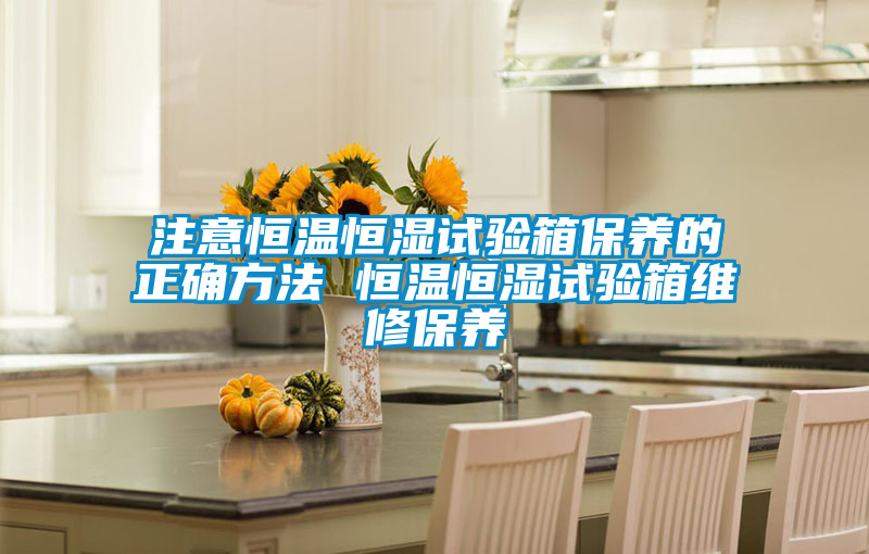 注意恒溫恒濕試驗(yàn)箱保養(yǎng)的正確方法 恒溫恒濕試驗(yàn)箱維修保養(yǎng)