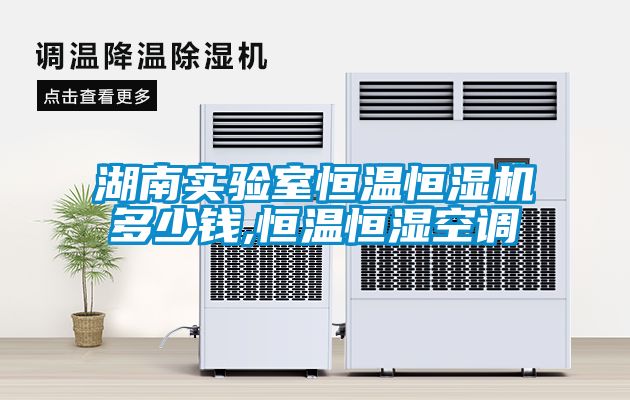 湖南實驗室恒溫恒濕機多少錢,恒溫恒濕空調(diào)