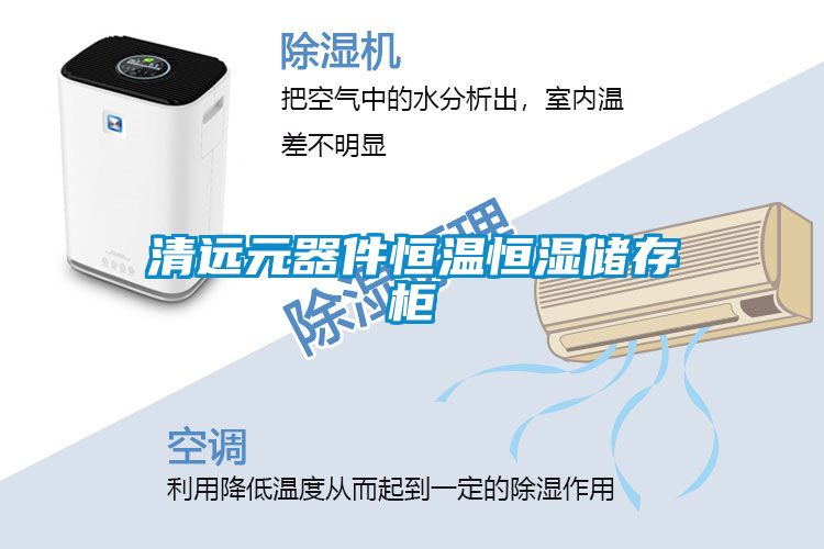 清遠元器件恒溫恒濕儲存柜