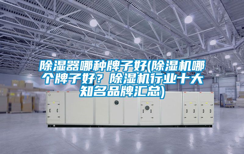 除濕器哪種牌子好(除濕機(jī)哪個(gè)牌子好？除濕機(jī)行業(yè)十大知名品牌匯總)