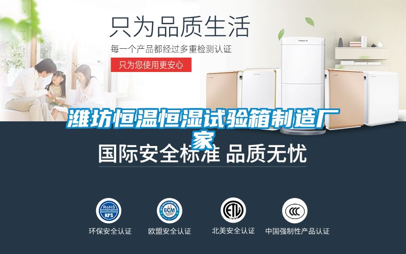 濰坊恒溫恒濕試驗(yàn)箱制造廠家