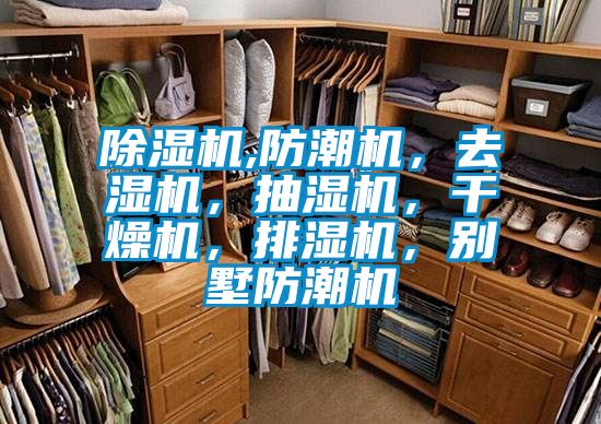 除濕機(jī),防潮機(jī)，去濕機(jī)，抽濕機(jī)，干燥機(jī)，排濕機(jī)，別墅防潮機(jī)