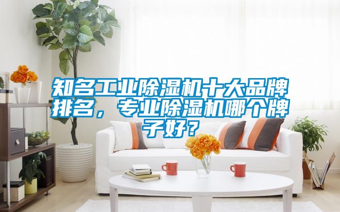 知名工業(yè)除濕機(jī)十大品牌排名，專業(yè)除濕機(jī)哪個牌子好？