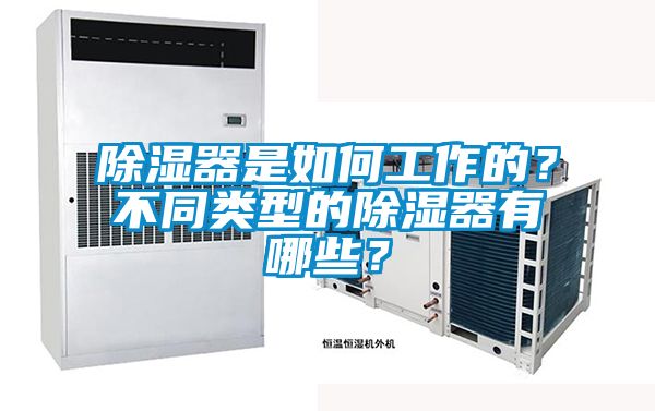 除濕器是如何工作的？不同類型的除濕器有哪些？