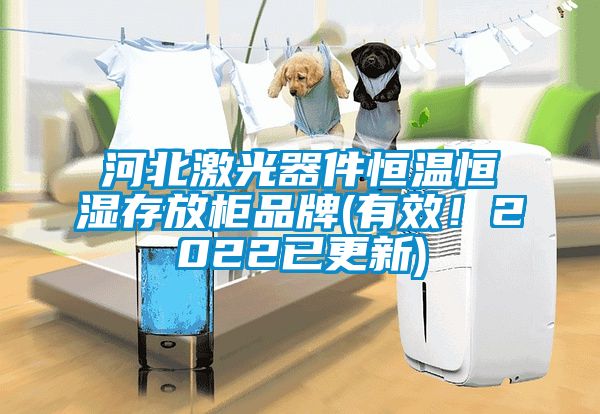 河北激光器件恒溫恒濕存放柜品牌(有效！2022已更新)