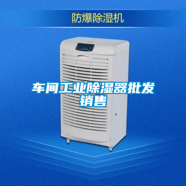 車(chē)間工業(yè)除濕器批發(fā)銷(xiāo)售
