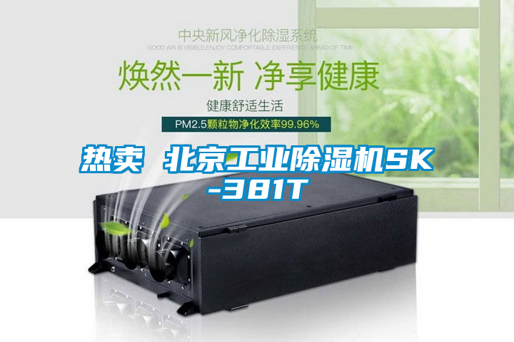 熱賣(mài) 北京工業(yè)除濕機(jī)SK-381T